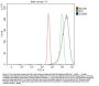 Anti-Caspase-8/CASP8 Antibody Picoband®