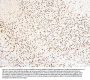 Anti-MECP2 Antibody Picoband®