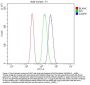 Anti-Caspase-9/CASP9 Antibody Picoband®