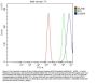Anti-Caspase-9/CASP9 Antibody Picoband®