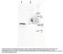 Anti-H2AX pS139 H2AFX Antibody