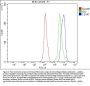 Anti-CD147/Bsg Antibody Picoband®