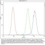 Anti-ICOS Antibody