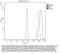 Anti-STIM1 Antibody Picoband®