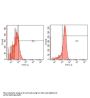 Anti-Mn SOD Sod2 Antibody