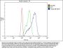 Anti-Filamin A/FLNA Antibody Picoband®