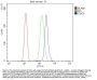 Anti-STAT6 Antibody PicobandÂ®