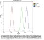 Anti-Cytochrome P450 17A1/CYP17A1 Antibody Picoband®