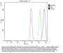 Anti-DDX3/DDX3X Antibody Picoband®