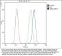 Anti-IKK gamma/IKBKG Antibody Picoband®