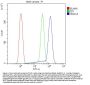Anti-HDAC4 Antibody Picoband®