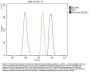 Anti-RNA polymerase II/POLR2A Antibody PicobandÂ®