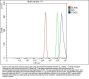 Anti-STAT5A/B Antibody Picoband®