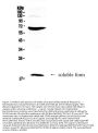 Anti-CD40L/CD40LG Antibody Picoband®