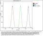 Anti-MDC1 Antibody