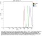 Anti-EED Antibody Picoband®
