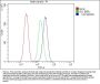 Anti-CACNA2D2 Antibody Picoband®