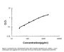 Anti-GDF15 Antibody Picoband®