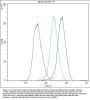 Anti-Human CTNNA1 DyLight® 488 conjugated Antibody