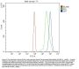 Anti-Alanine Transaminase/Gpt Antibody Picoband®