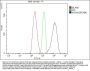 Anti-CD146/Mcam Antibody Picoband®