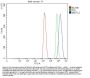 Anti-METTL3 Antibody Picoband®