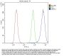 Anti-INPPL1 Antibody Picoband®