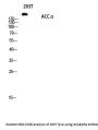 Anti-ACC alpha ACACA Antibody