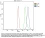 Anti-Kv1.1 potassium channel/KCNA1 Antibody Picoband®