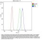Anti-Xanthine Oxidase/XDH Antibody Picoband®