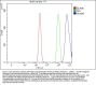 Anti-NUMA/NUMA1 Antibody Picoband®