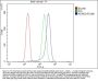 Anti-beta 3 Adrenergic Receptor/ADRB3 Antibody PicobandÂ®