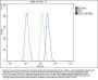 Anti-SOX3 Antibody Picoband®