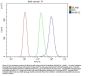 Anti-AKAP12 Antibody PicobandÂ®