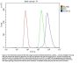Anti-AKAP12 Antibody PicobandÂ®