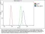 Anti-ABCB5 Antibody PicobandÂ®