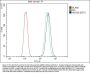 Anti-ABCB5 Antibody PicobandÂ®