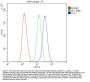 Anti-Plasminogen/PLG Antibody Picoband®