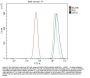 Anti-ORC5L/ORC5 Antibody PicobandÂ®