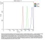 Anti-Annexin VI/ANXA6 Antibody Picoband®