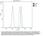 Anti-DDX6 Antibody PicobandÂ®