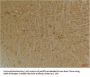 Anti-GABA B Receptor 2 GABBR2 Antibody