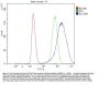 Anti-SLC5A8 Antibody Picoband®