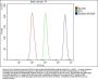 Anti-Rad9/Rad9a Antibody PicobandÂ®