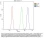 Anti-ERAP2 Antibody PicobandÂ®