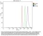 Anti-NCOA4 Antibody Picoband®