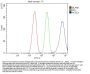 Anti-FACL4/ACSL4 Antibody Picoband®