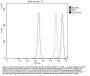 Anti-DCP1A Antibody Picoband®