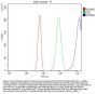 Anti-SCG10/STMN2 Antibody Picoband®