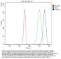 Anti-SCG10/STMN2 Antibody Picoband®